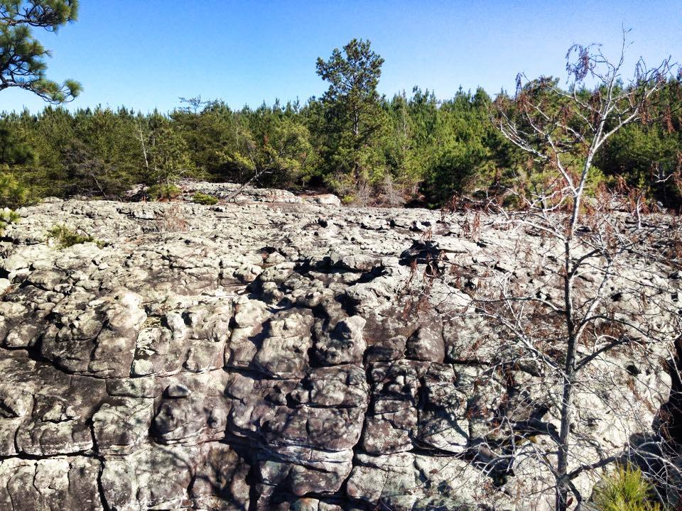 Bama Rock Garden closed for public use Tuscaloosa County Parks