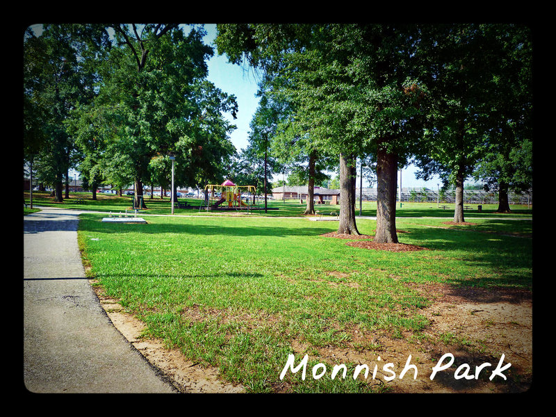Monnish Park