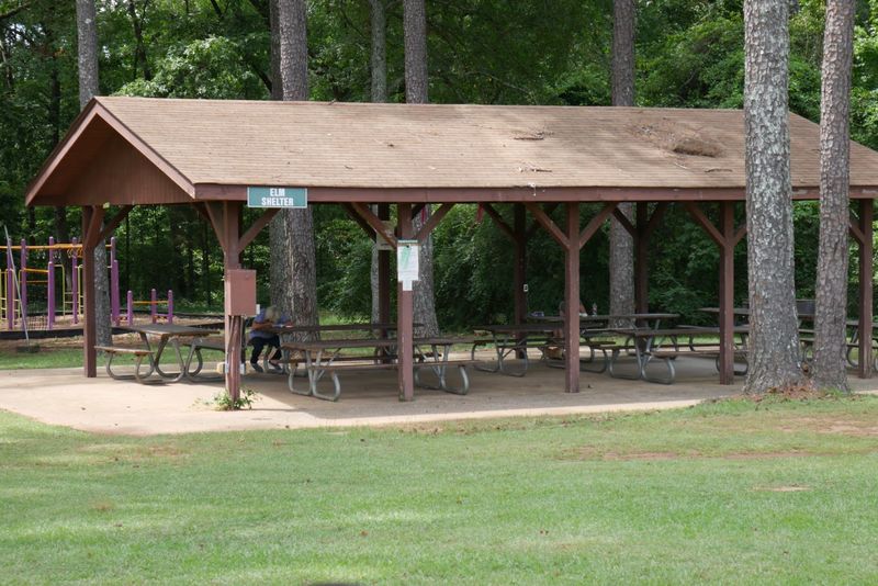 Elm Shelter