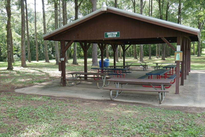 Sweetgum Shelter