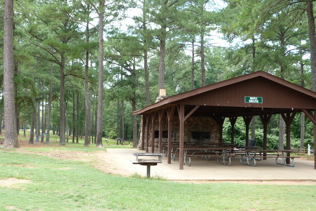Maple Shelter
