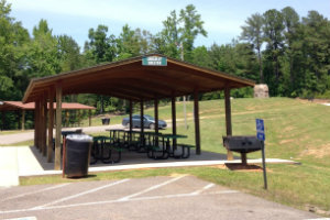 Loblolly Shelter