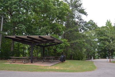 Chestnut Shelter