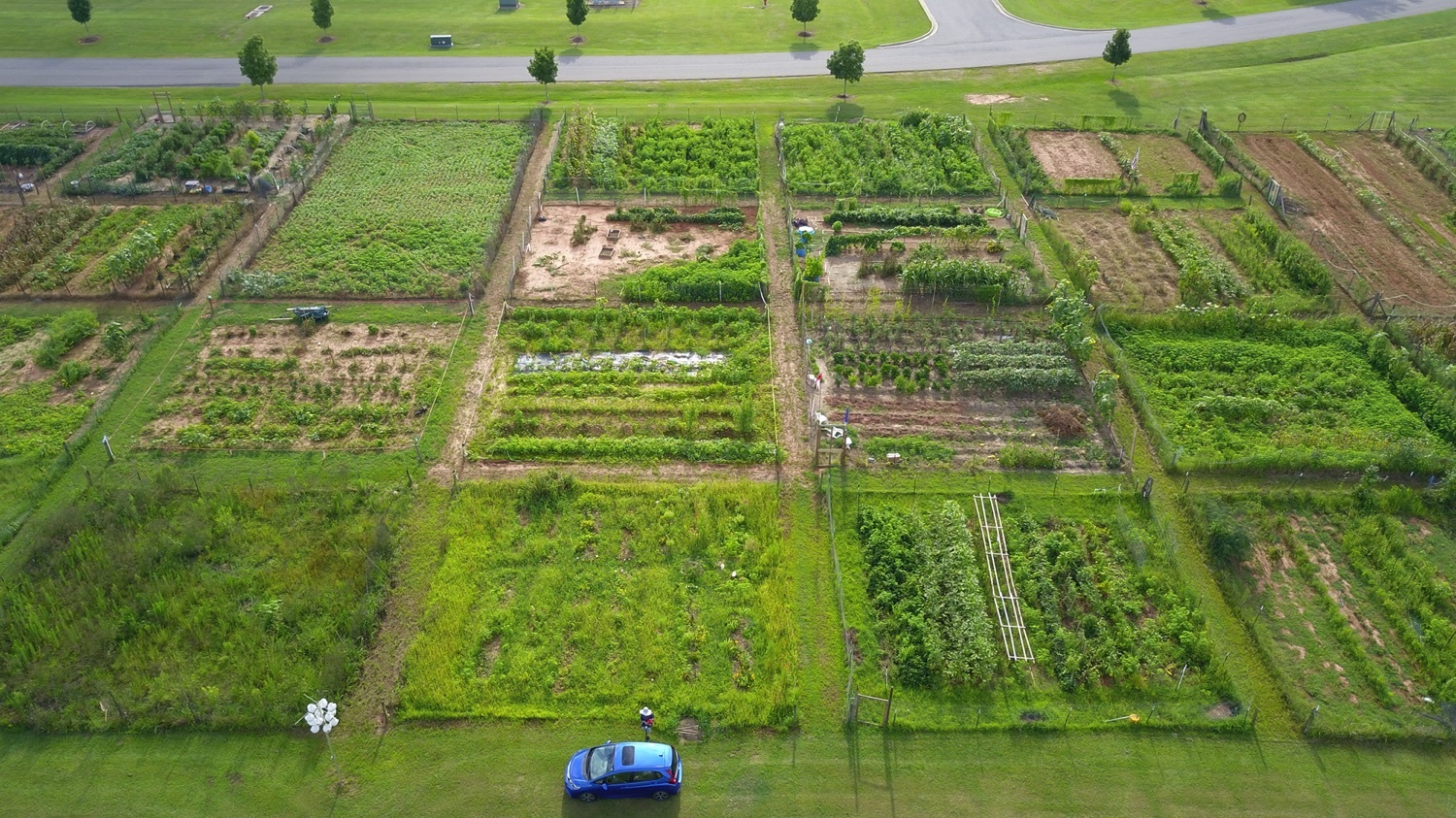 Community Garden Plots Tuscaloosa County Parks & Recreation Authority